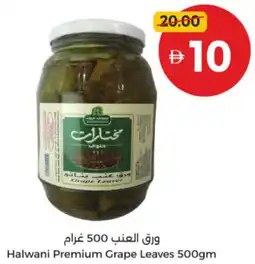 Union Coop Halwani Premium Grape Leaves offer
