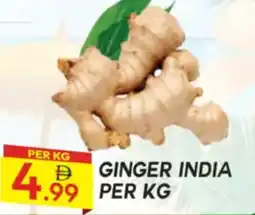 Dream Land Center Ginger offer