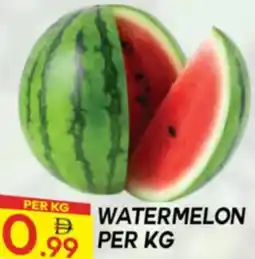 Dream Land Center Watermelon offer