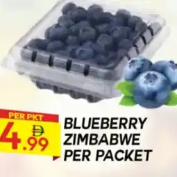 Dream Land Center Blueberry offer