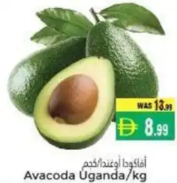 Pasons Avacoda offer
