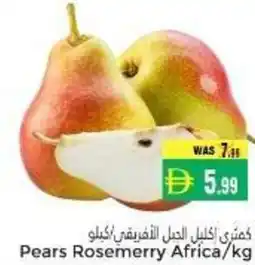 Pasons Pears Rosemerry offer