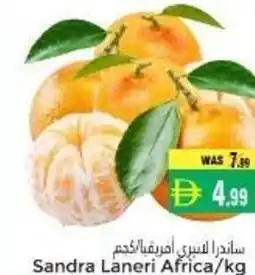 Pasons Sandra Laneri offer