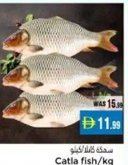 Pasons Catla fish offer