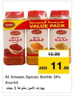 Nesto AL AMEEN Spices / Masala offer