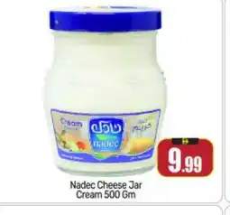 Bigmart NADEC Cream Cheese offer