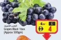 Safari Hypermarket Grapes black offer