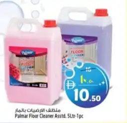 Safari Hypermarket Palmar Floor Cleaner offer