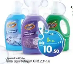 Palmar Liquid Detergent