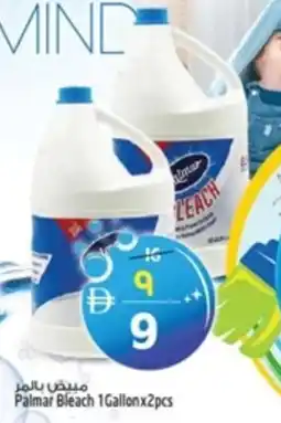 Safari Hypermarket Palmar Bleach offer