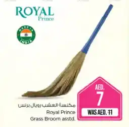Nesto Royal Prince Grass Broom asstd. offer