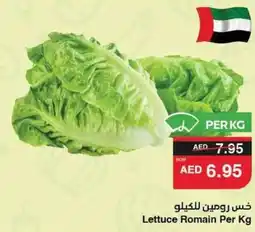 Abu Dhabi Coop Lettuce Romain offer