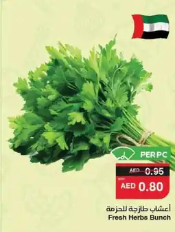 Abu Dhabi Coop Fresh Herbs Bunch offer
