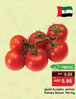Abu Dhabi Coop Tomato Bunch offer