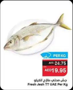 Abu Dhabi Coop Fresh Jesh TT UAE offer