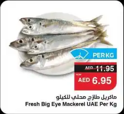 Abu Dhabi Coop Fresh Big Eye Mackerel UAE offer