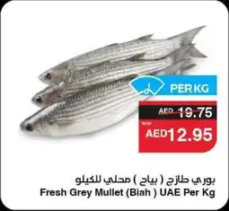 Abu Dhabi Coop Fresh Grey Mullet (Biah) UAE offer