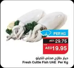 Abu Dhabi Coop Fresh Cuttle Fish UAE offer