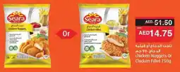Abu Dhabi Coop Chicken Nuggets Or Chicken Fillet offer