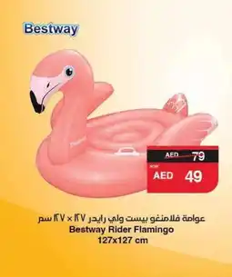 Bestway Rider Flamingo