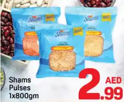 Day To Day Shams Pulses offer