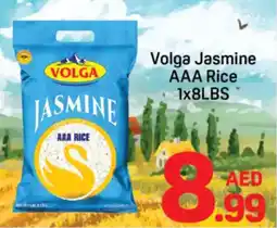 Day To Day Volga Jasmine AAA Rice offer