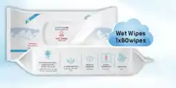 Day To Day Wet Wipes offer