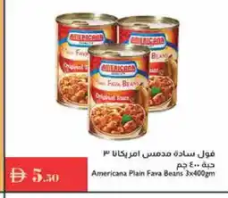 Istanbul Supermarket AMERICANA Fava Beans offer