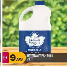 Bigmart HAYATNA Fresh Milk offer