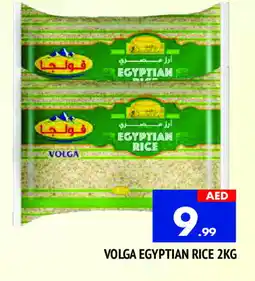 Al Madina VOLGA Egyptian / Calrose Rice offer