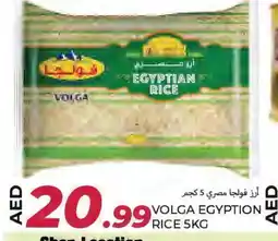 Rawabi Market VOLGA Egyptian / Calrose Rice offer