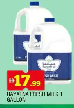 Al Madina HAYATNA Fresh Milk offer