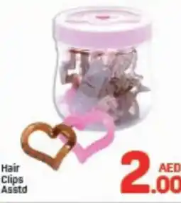 Day To Day Hair Clips asstd offer