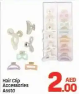 Day To Day Hair Clip Accessories offer