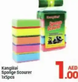 Day To Day Kanglai sponge scourer offer