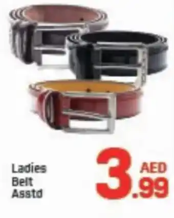 Day To Day Ladies Belt Asstd offer