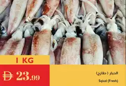 Istanbul Supermarket Sqiud (Fresh) offer