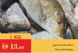Istanbul Supermarket Sherry Fish Medium offer