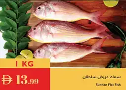 Istanbul Supermarket Sulthan Flat Fish offer