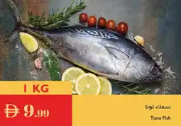 Istanbul Supermarket Tuna Fish offer