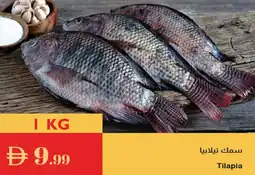 Istanbul Supermarket Tilapia offer