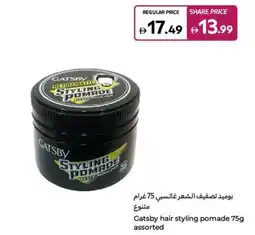 Carrefour Gatsby hair styling pomade assorted offer