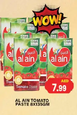 Zain Hypermarket AL AIN Tomato Paste offer