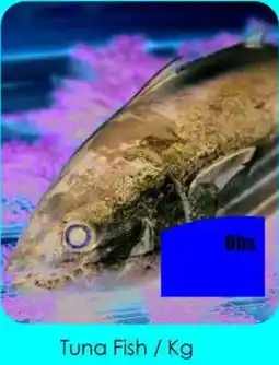 Amber Tuna Fish offer