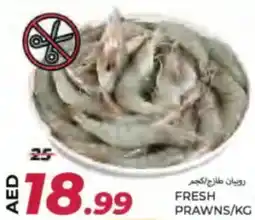 Rawabi Market Fresh prawns offer