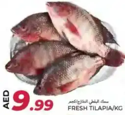 Rawabi Market Fresh tilapia offer