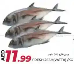 Rawabi Market Fresh jesh (vatta) offer