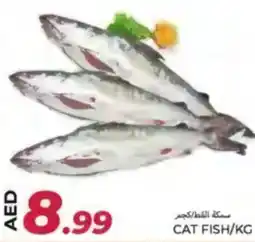 Rawabi Market Cat fish offer