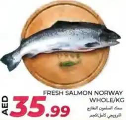 Rawabi Market Fresh salmon norway whole offer