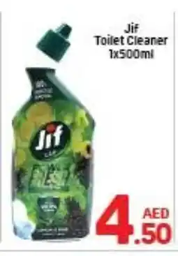 Day To Day JIF Toilet / Drain Cleaner offer